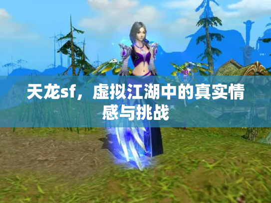 天龙sf，虚拟江湖中的真实情感与挑战