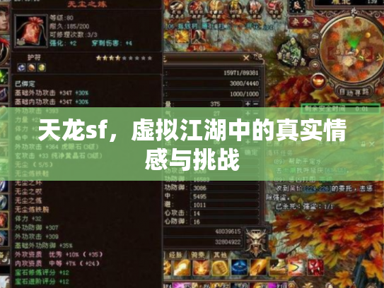 天龙sf，虚拟江湖中的真实情感与挑战