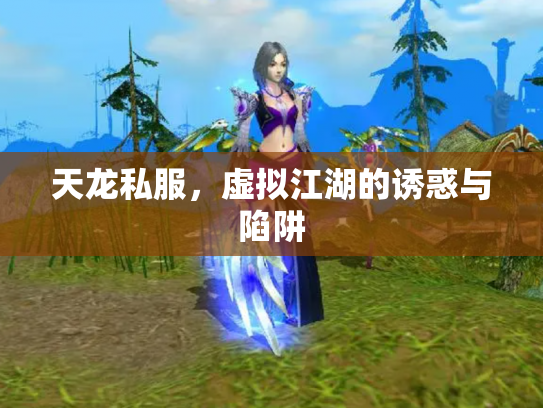 天龙私服，虚拟江湖的诱惑与陷阱