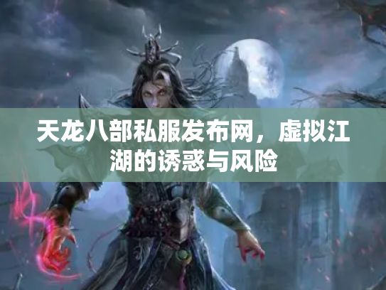 天龙八部私服发布网，虚拟江湖的诱惑与风险