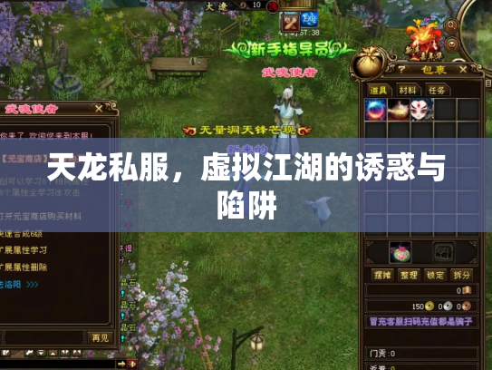 天龙私服，虚拟江湖的诱惑与陷阱
