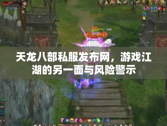 天龙八部私服发布网，游戏江湖的另一面与风险警示