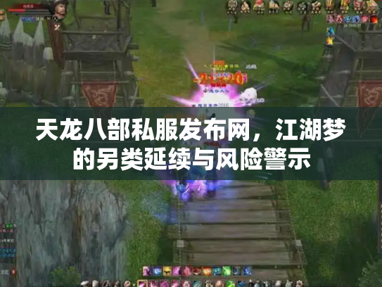 天龙八部私服发布网，江湖梦的另类延续与风险警示