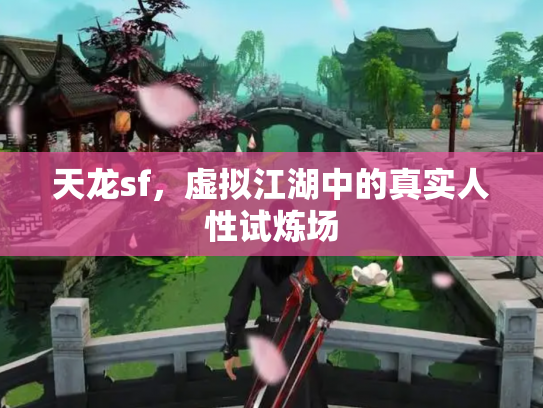 天龙sf，虚拟江湖中的真实人性试炼场