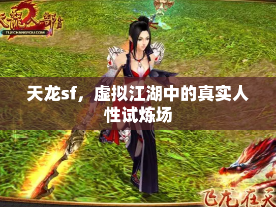 天龙sf，虚拟江湖中的真实人性试炼场