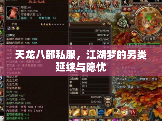 天龙八部私服，江湖梦的另类延续与隐忧