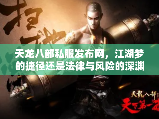天龙八部私服发布网，江湖梦的捷径还是法律与风险的深渊？