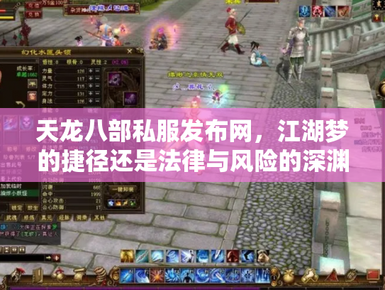 天龙八部私服发布网，江湖梦的捷径还是法律与风险的深渊？