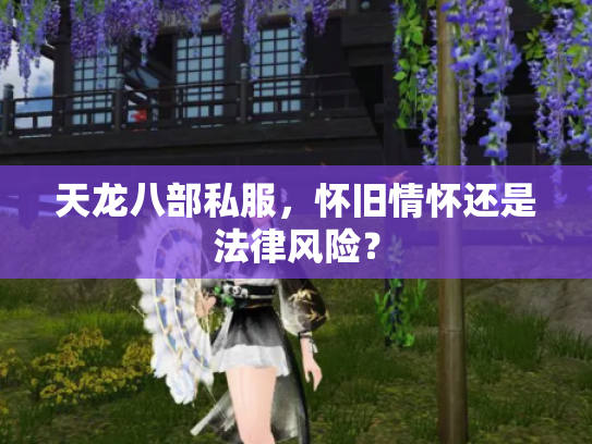 天龙八部私服，怀旧情怀还是法律风险？