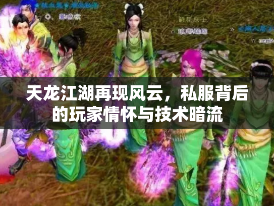 天龙江湖再现风云，私服背后的玩家情怀与技术暗流