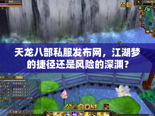 天龙八部私服发布网，江湖梦的捷径还是风险的深渊？