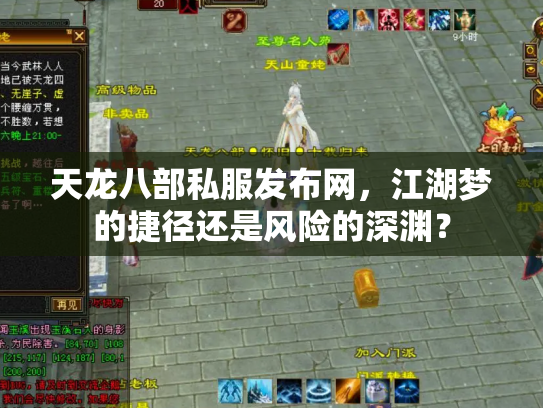 天龙八部私服发布网，江湖梦的捷径还是风险的深渊？