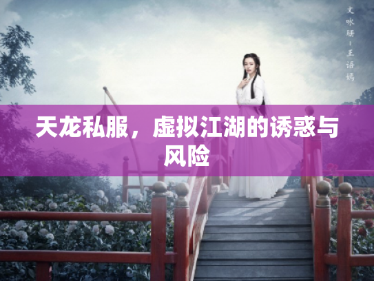 天龙私服，虚拟江湖的诱惑与风险