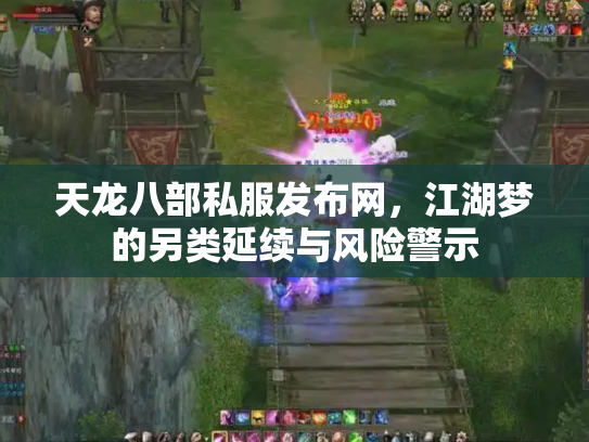 天龙八部私服发布网，江湖梦的另类延续与风险警示