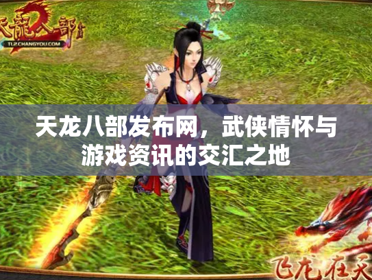 天龙八部发布网，武侠情怀与游戏资讯的交汇之地