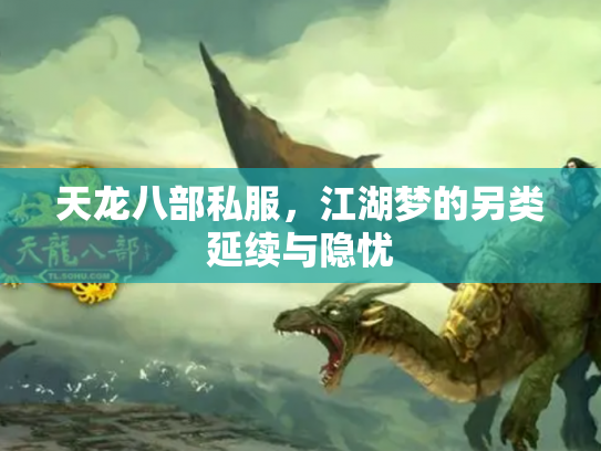 天龙八部私服，江湖梦的另类延续与隐忧