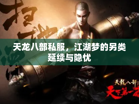 天龙八部私服，江湖梦的另类延续与隐忧