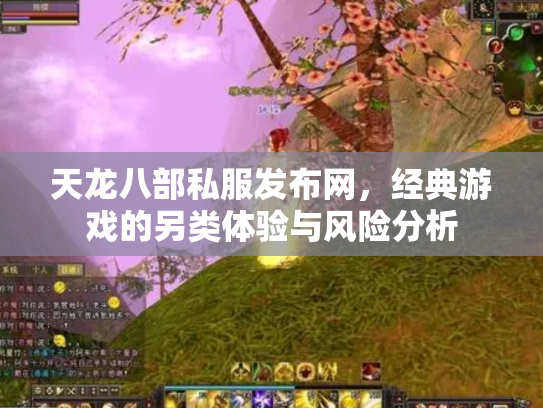 天龙八部私服发布网，经典游戏的另类体验与风险分析