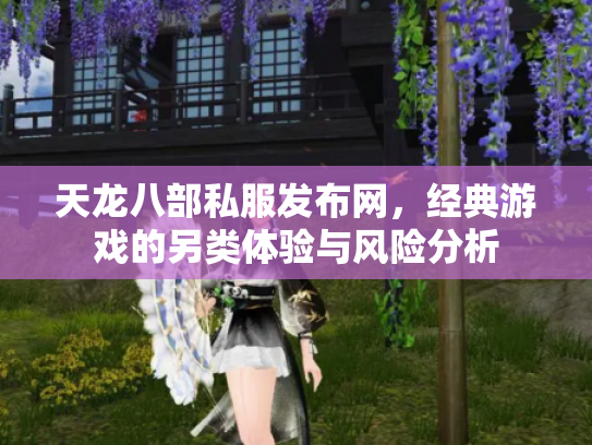 天龙八部私服发布网，经典游戏的另类体验与风险分析