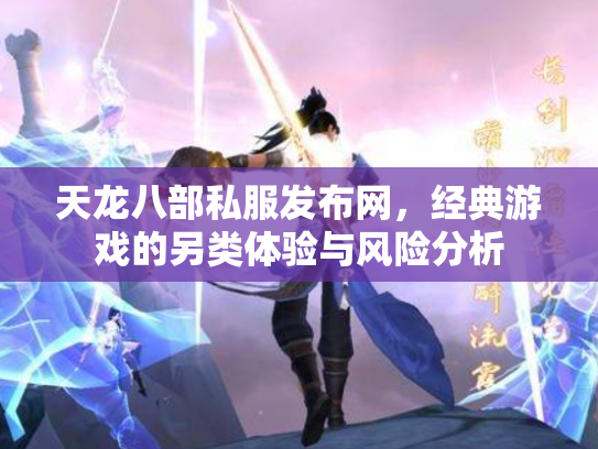 天龙八部私服发布网，经典游戏的另类体验与风险分析