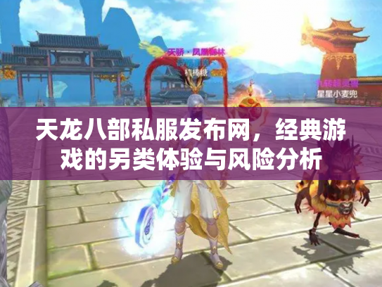 天龙八部私服发布网，经典游戏的另类体验与风险分析