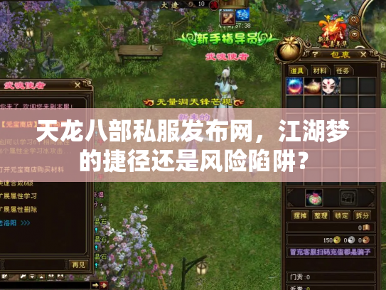 天龙八部私服发布网，江湖梦的捷径还是风险陷阱？