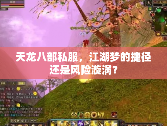天龙八部私服，江湖梦的捷径还是风险漩涡？