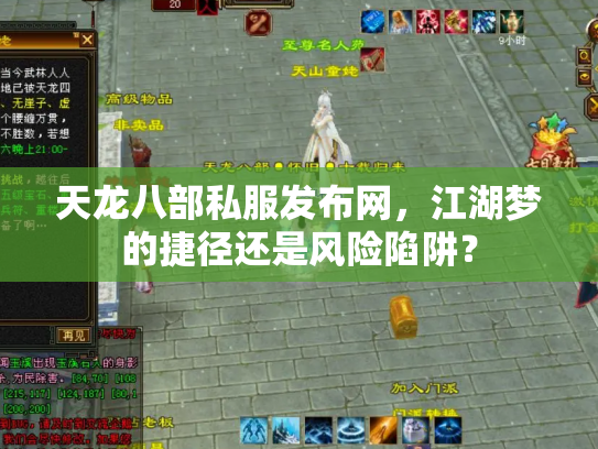 天龙八部私服发布网，江湖梦的捷径还是风险陷阱？