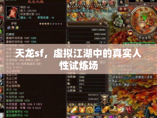 天龙sf,虚拟江湖中的真实人性试炼场 天龙sf,虚拟江湖中的真实人性试炼场