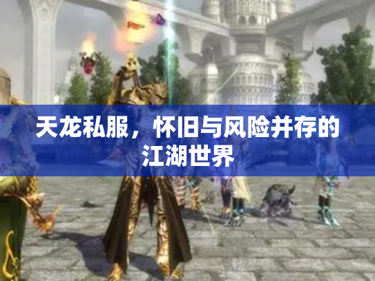 天龙私服，怀旧与风险并存的江湖世界