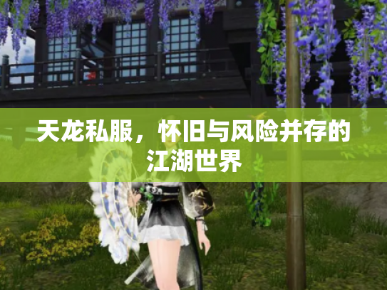 天龙私服，怀旧与风险并存的江湖世界