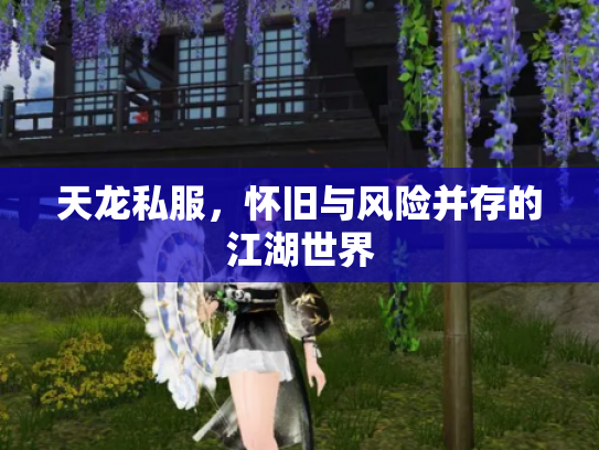 天龙私服，怀旧与风险并存的江湖世界