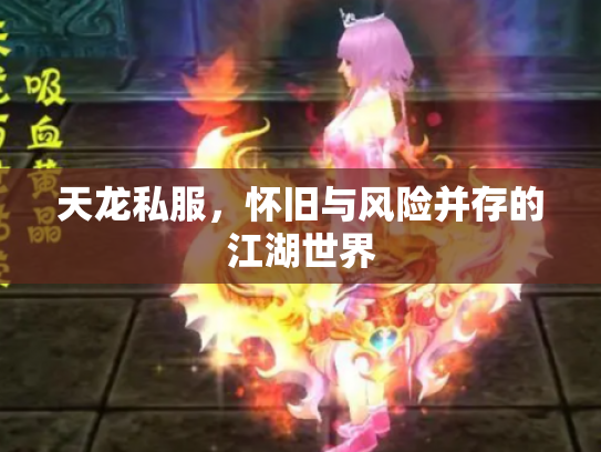 天龙私服，怀旧与风险并存的江湖世界