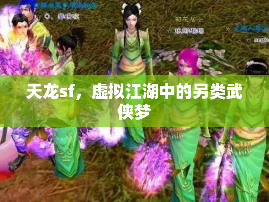 天龙sf，虚拟江湖中的另类武侠梦