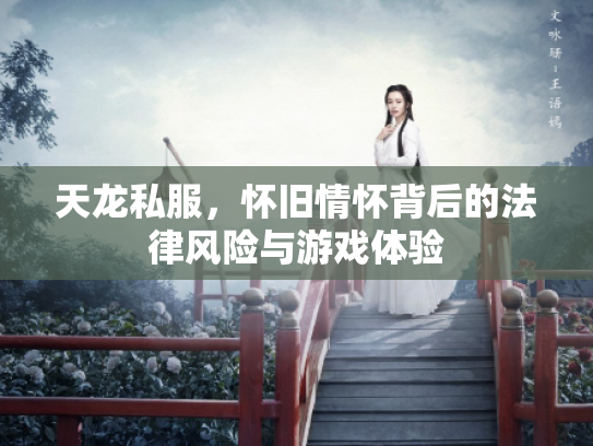 天龙私服，怀旧情怀背后的法律风险与游戏体验