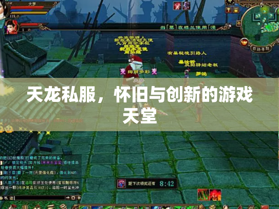 天龙私服，怀旧与创新的游戏天堂