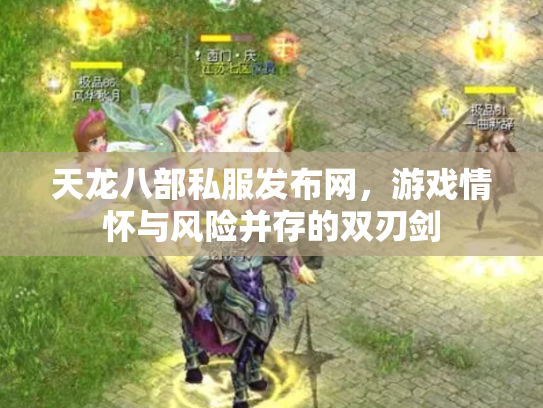 天龙八部私服发布网，游戏情怀与风险并存的双刃剑