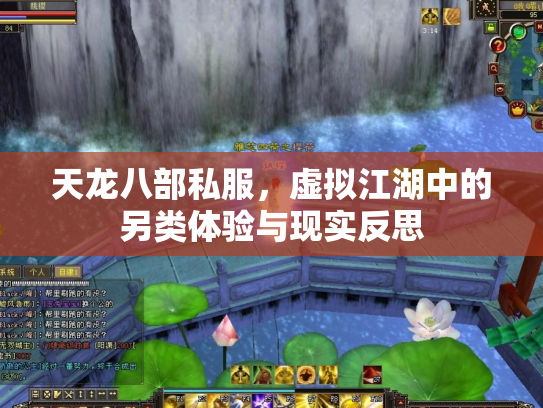 天龙八部私服，虚拟江湖中的另类体验与现实反思