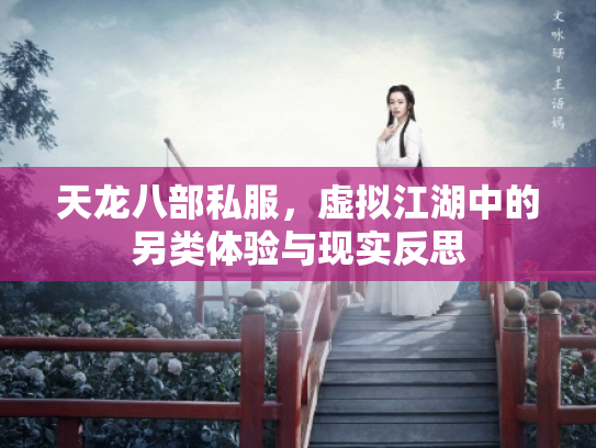 天龙八部私服，虚拟江湖中的另类体验与现实反思