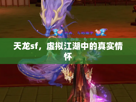 天龙sf，虚拟江湖中的真实情怀