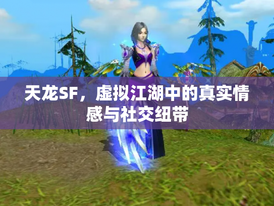 天龙SF，虚拟江湖中的真实情感与社交纽带