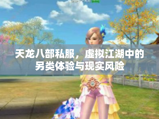 天龙八部私服，虚拟江湖中的另类体验与现实风险