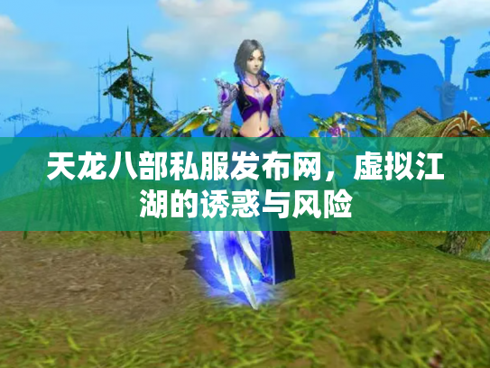 天龙八部私服发布网，虚拟江湖的诱惑与风险