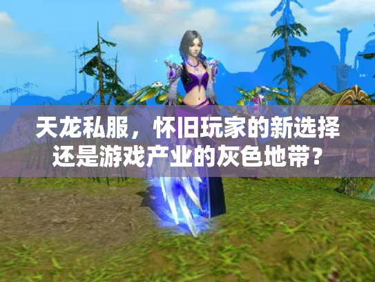 天龙私服，怀旧玩家的新选择还是游戏产业的灰色地带？