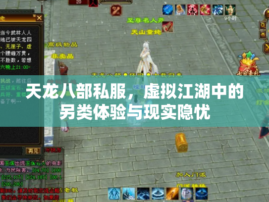 天龙八部私服，虚拟江湖中的另类体验与现实隐忧