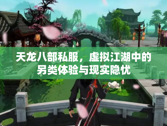 天龙八部私服，虚拟江湖中的另类体验与现实隐忧