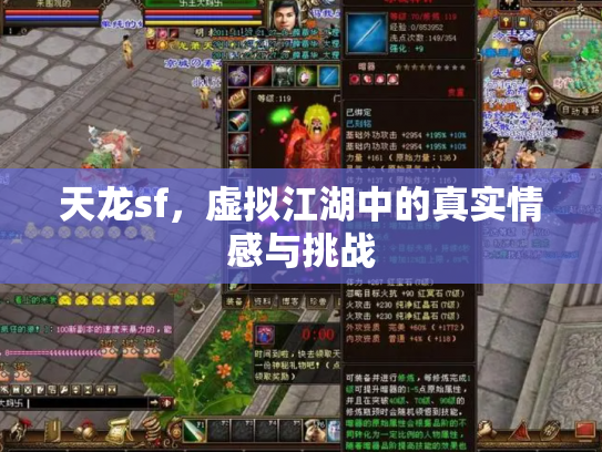 天龙sf，虚拟江湖中的真实情感与挑战