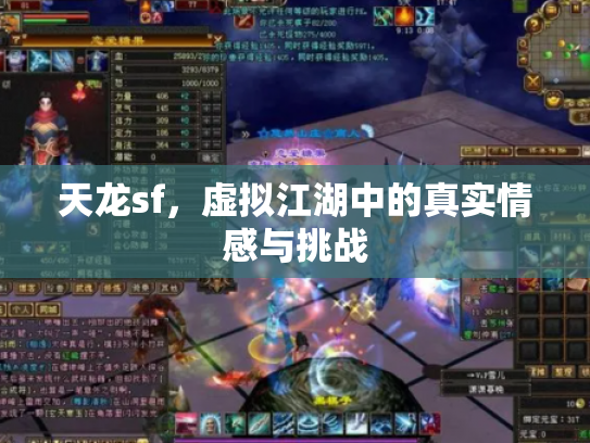 天龙sf，虚拟江湖中的真实情感与挑战