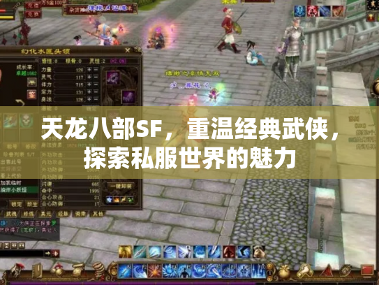 天龙八部SF，重温经典武侠，探索私服世界的魅力