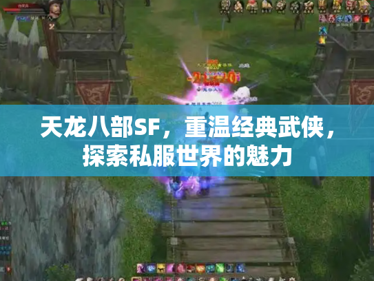 天龙八部SF，重温经典武侠，探索私服世界的魅力